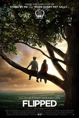 《怦然心动》：爱在眉眼间，心动一瞬间的青春治愈