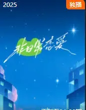 非日常恋爱的奇妙冒险：一部浪漫感人的爱情之旅